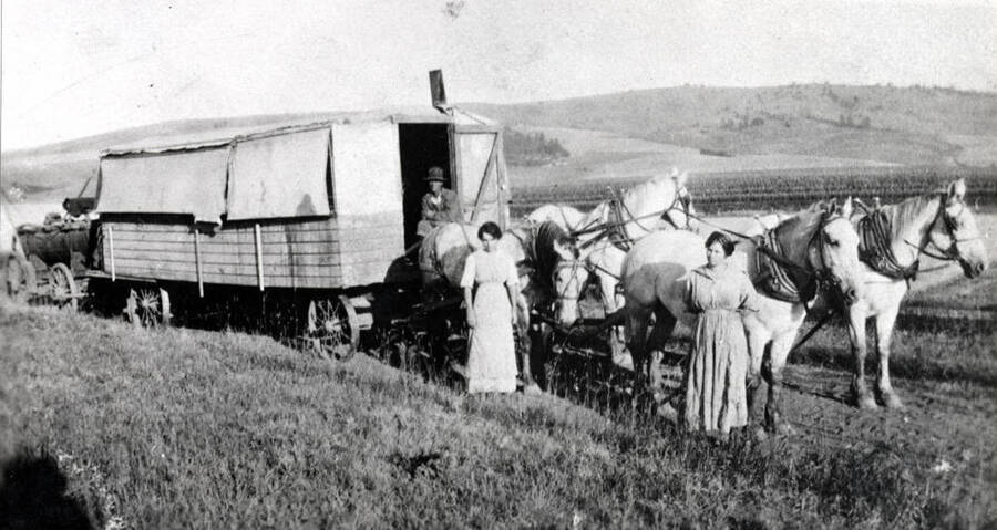 Andrew Mortensen cookhouse outfit near Blaine in 1917. Left to right: Tom Abrahamson driver, Bertha Christenson and Marie Mickleson, cooks.
