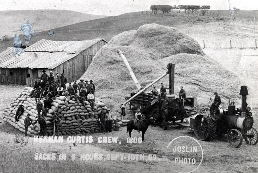 Herman Curtis crew and threshing outfit near Grinnell Station north of Palouse. Picture taken September 10, 1909. 1800 sacks of grain were threshed in nine hours.