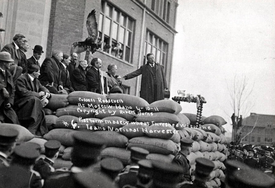 Colonel Roosevelt on speakers' platform made of sacked wheat threshed by an Idaho National Harvester. In front of the Administration Building, University of Idaho. April 10, 1911.