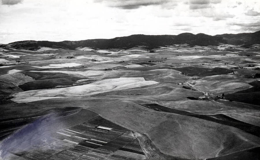 Looking northeast across country from west of Moscow. University of Idaho trial ground in the left foreground. Picture by Hodgins 1938.