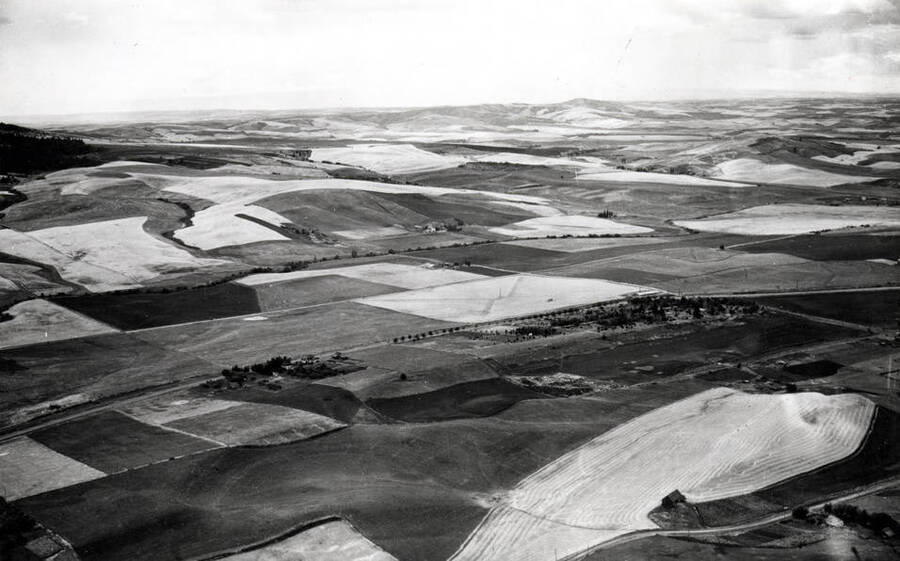 Looking southwest across country from east of Moscow. Moscow City Cemetery in the foreground. Picture by Hodgins 1938.