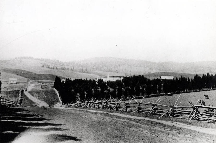 John L. Naylor farmstead at right. Naylor School at left. Phelps house across from school. This was the road north to Viola before Highway 95 was built straight north from Main Street, Moscow.  Early 1900s.