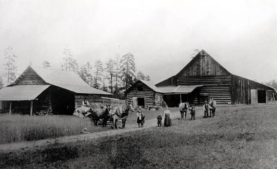 Peter Flodin homestead and family on Dry Ridge 1907. Left to right: buildings, barn, chicken house, and house being used as a granary. Left to right: Elmer, Stina, Mary, Hilda, Ebba and Pete. Two horses at right were the original team from the late 1880s.
