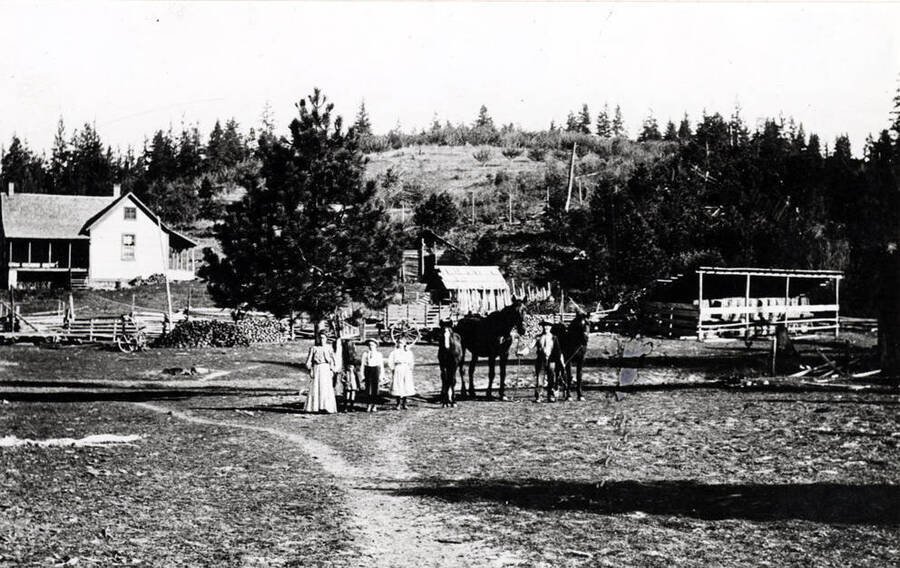 Simmerman homestead in 1909 north of Potlatch about five miles east of Highway 95.