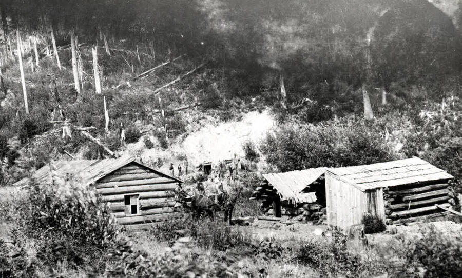 Located in Crumarine Gulch on Moscow Mountain in the late 1890s or early 1900s. Entrance to mine in center of picture. No other identification.