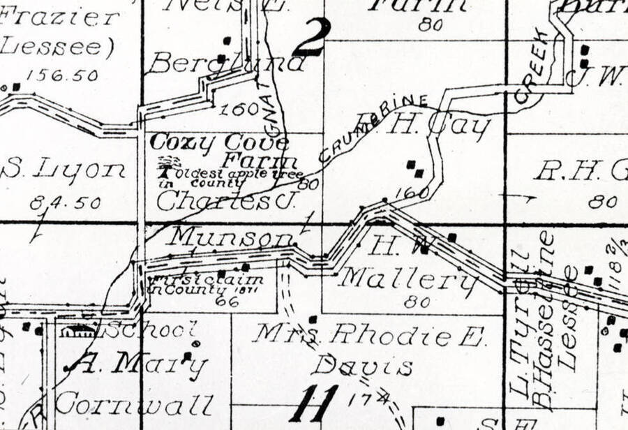 Photo of map section. Copied from Latah County Atlas of 1914 showing the Cozy Cove farm owned by Charles J. Munson. Farm was the first homesteaded in the county in 1871 by Asbury A. Lieuallen who sold to Munson in 1890. Shows the location of the first apple tree.