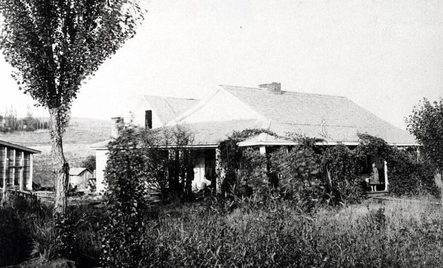 William Taylor home at the location of the Latah Care Center north of the South Palouse River Road and west of Highway 95. Mrs. W.A. Lauder was the daughter of William Taylor and mother of Alma Lauder Keeling. Taylor homesteaded this location in 1871.