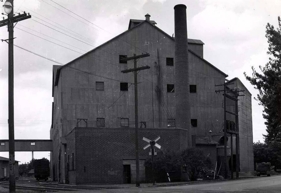 Washburn-Wilson Seed Company pea and lentil processing plant at A and Almon streets west of the railroad tracks. Picture by Clifford M. Ott 1960.