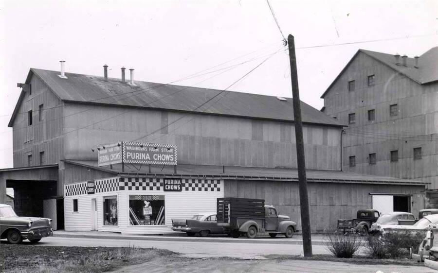Washburn's Farm Store opened for business as a Purina franchise store with Clifford M. Ott as manager. Feed processing equipment consisted of a dry or steam roller, hammermill, batch mixer, molasses mixer and a pellet mill. Any type of feed could be processed for the dairymen, cattlemen, hog raisers and poultrymen. Barley cleaning and pearling equipment was located in the building opposite the feed store. 