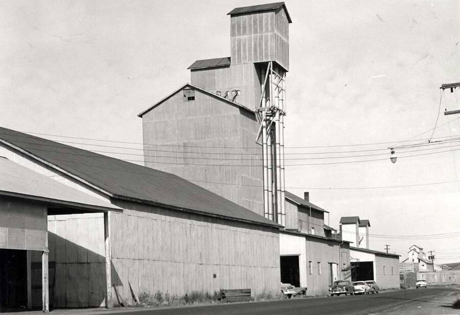 Washburn-Wilson Seed Company plant rebuilt and enlarged for receiving four varieties of peas at one time without causing any mixtures. Facility was purchased by Carl Eisinger March 1, 1961, and completely destroyed by fire April 28, 1962. Picture by Clifford M. Ott 1960.