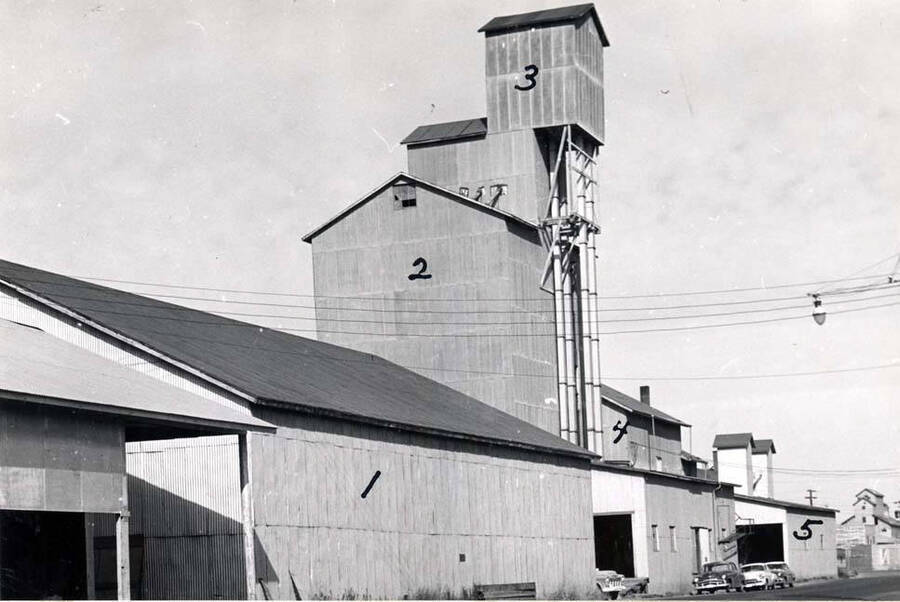 Pea processing plant in 1960. Located on the Troy Highway at the south end of Washington Street. 1- Flat house built in 1948 for storing sacked peas, 2- Cribbed bin elevator purchased from Kenneth Anderson in fall of 1945, 3- New headhouse with two elevators built in 1946, 4- New hand picking room with capacity of 50 individual picking machines for women built in 1946, 5- Two new elevators and dump pit area built in 1946. With four elevators different [peas] could be received without mixture.