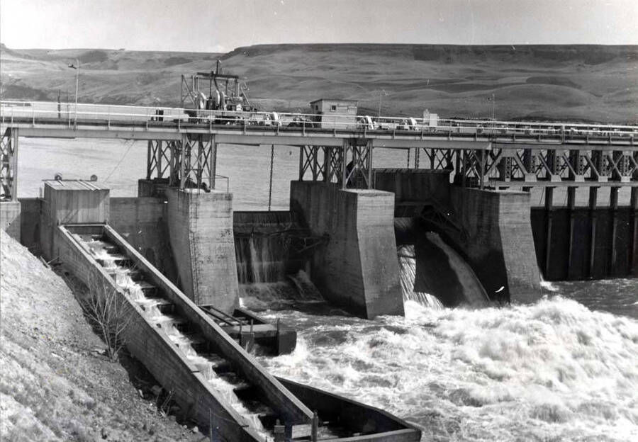 Showing the fish ladder at the north end of the dam across the Clearwater River. Dam has been removed for backwater from the Lower Granite Dam.