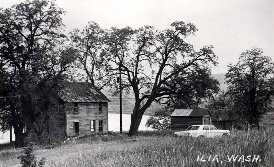 House and buildings and the school near were all that was left of Ilia, Washington, May15, 1968, when the picture was taken by Clifford M. Ott. At one time there was a store post office and a large grain warehouse for storing sacked grain for loading on the boats.