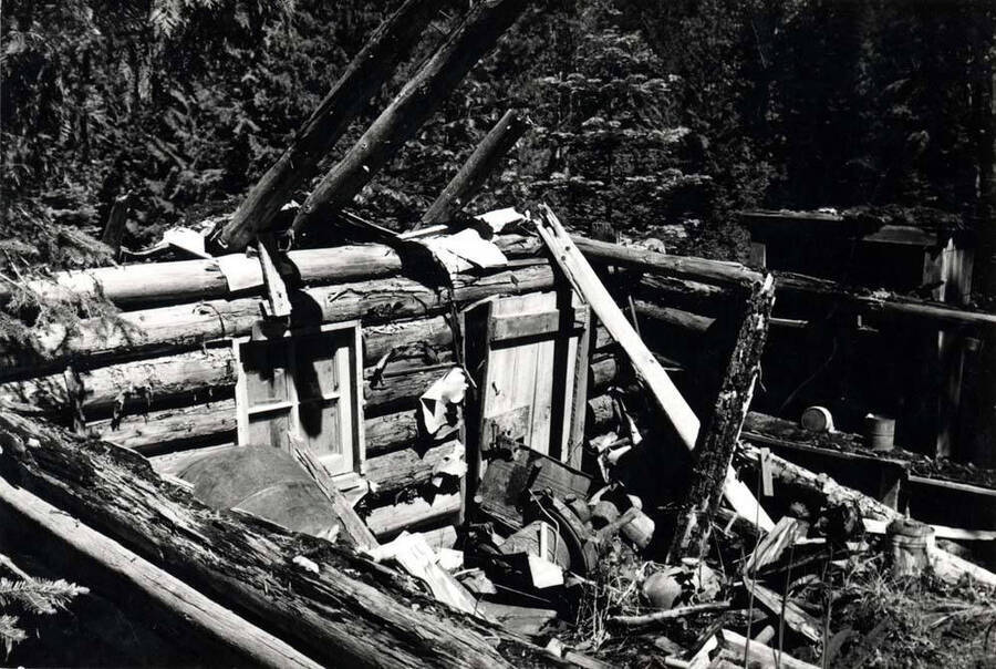 Front and inside of the last Carrico cabin located in the trees to the left of the building on the proceeding page [90-10-079?]