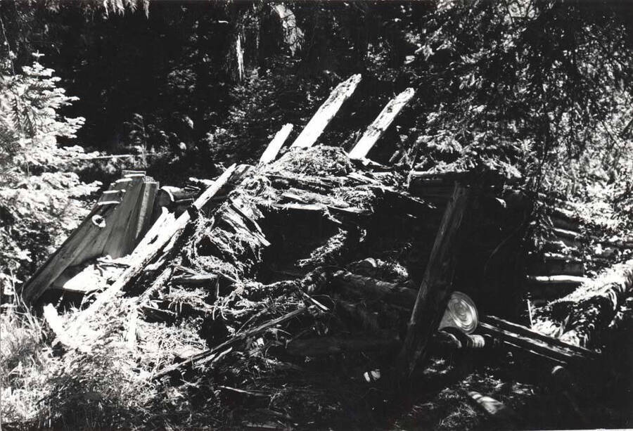 Fallen-down front of the Carrico cabin with part of the log walls still standing. Pictures taken in 1976 by Clifford M. Ott.