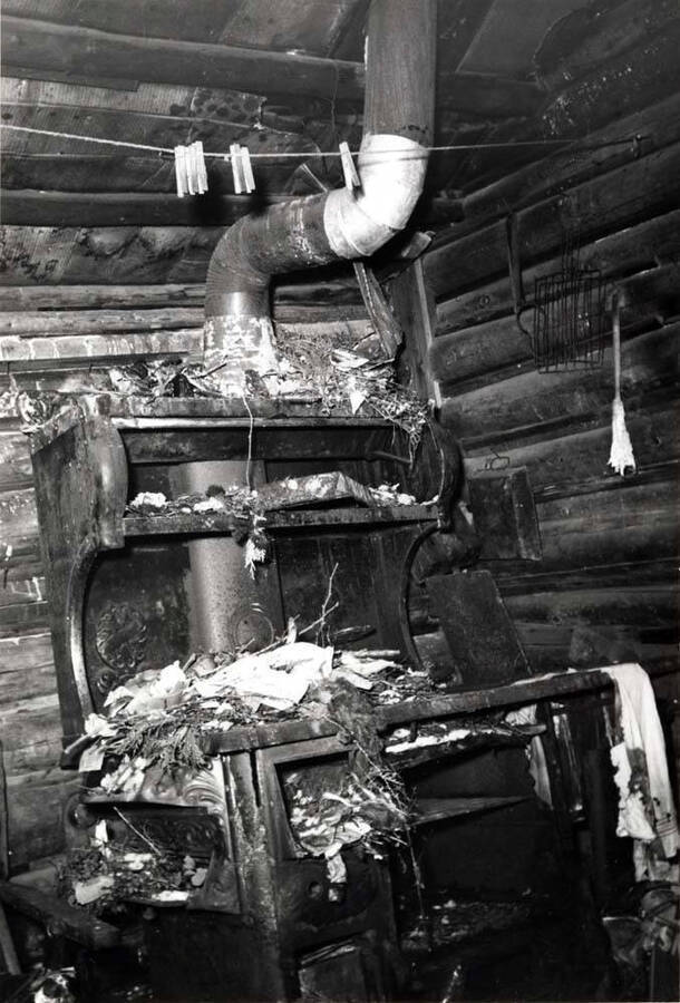 Inside the Shattuck cabin in 1976. Since then vandals have completely wrecked the place.