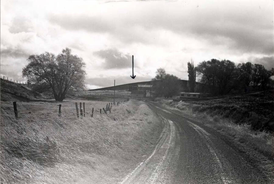 Looking south 0.3 mile from the South Palouse River Road. Arrow points to post office. Pictures October 30, 1977.