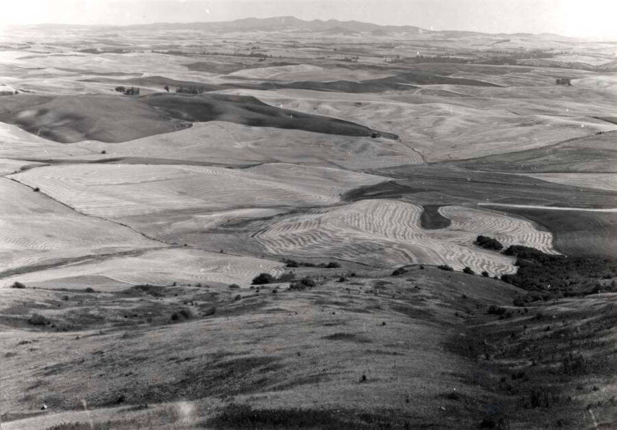 Looking southeast from an airplane above Steptoe Butte in October 1972. Picture taken by Clifford M. Ott.