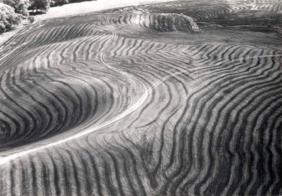 Of wheat field after harvest in eastern Washington. Picture taken by Clifford M. Ott October 1972.