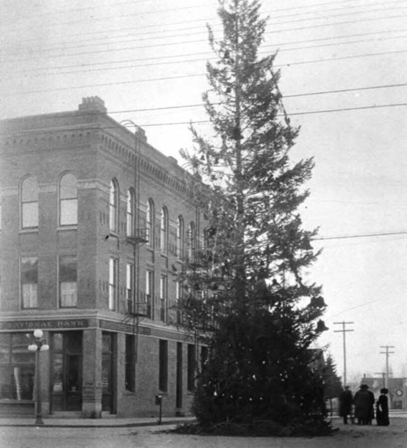 Christmas tree outside the First National Bank in December 1914.