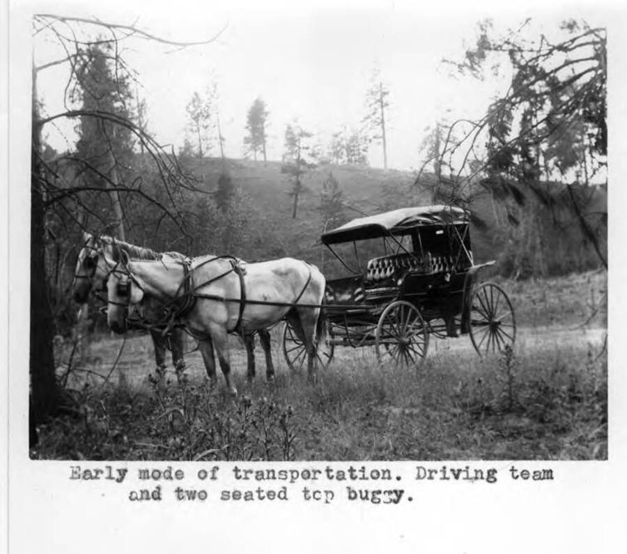 Early mode of transportation. Driving team and two-seated top buggy.