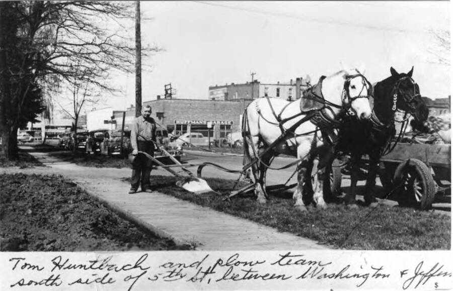 Tom Huntback and his plow team south side of Fifth Street between Washington and Jefferson streets. Tom Huntbach plowing his parents' garden east of the alley on the south side of Fifth Street between Washington & Jefferson streets.