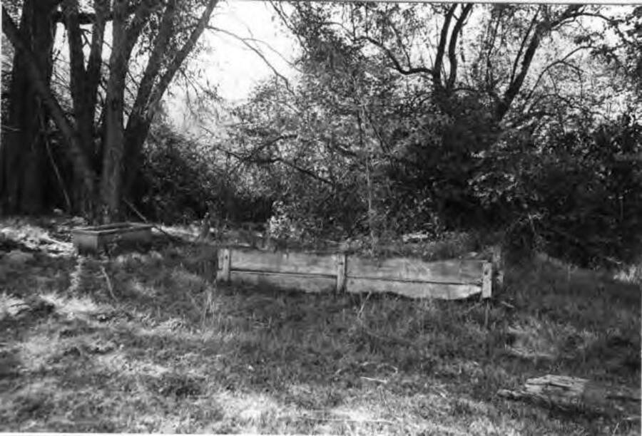 Old wooden water trough at the site of the Stevens Spring area. Picture by [Clifford M.] Ott, 1977.