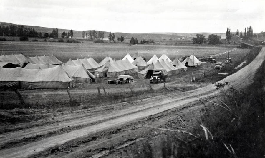 Looking west at the Civilian Conservation Corps tent camp in 1933 located south of the South Palouse Creek Road and east of Highway 95. William Taylor barn may be seen in front of the tall poplar trees at right of picture. A mineral spring in pioneer days was located between the two willow reeds at left of Taylor barn. Picture from Jerry Kimes.