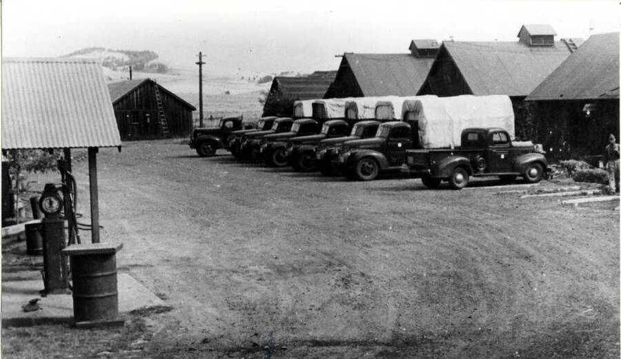 Looking east at Civilian Conservation Corps 1503 camp in 1935 with Tomers' Butte in the background. Picture by the Idahonian.