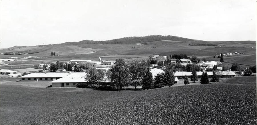 Looking southeast toward Paradise Ridge showing the new wing at the Latah Care Center completed early 1982. Formerly named Latah County Nursing home then Latah Convalescent Center. Picture by [Clifford M.] Ott June 11, 1982.