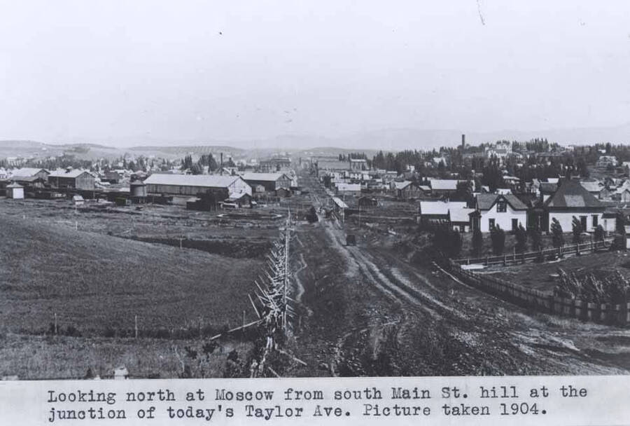 From south Main Street hill at the junction of today's Taylor Avenue. Picture taken in 1904.