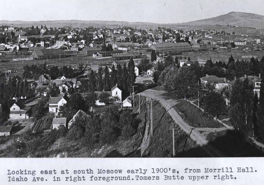 From Morrill Hall. Idaho Avenue in right foreground. Tomers Butte upper right.