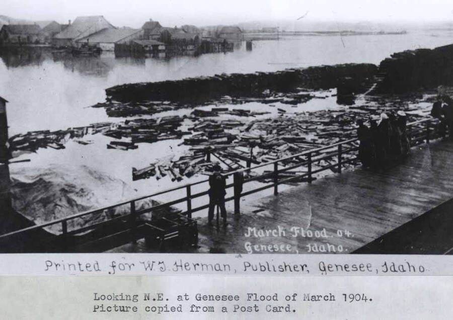 Picture copied from a postcard. Wording on photo: ' March Flood. 04. Genesee, Idaho. Printed for W.J. Herman, Publisher, Genesee, Idaho.'