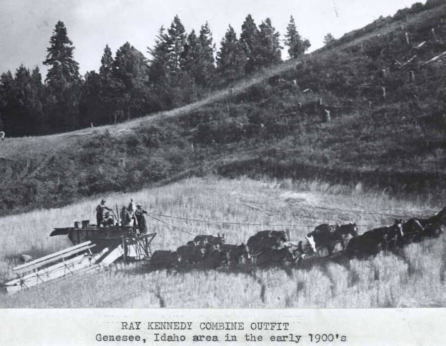 Genesee, Idaho area in the early 1900s.