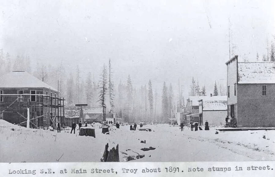 About 1891. Note stumps in street.