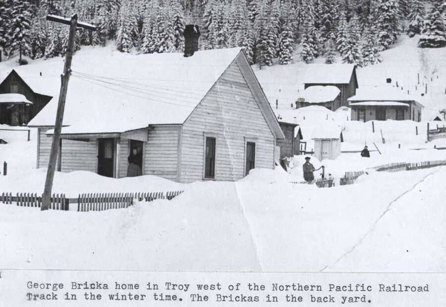 West of the Northern Pacific Railroad track in the winter time. Brinkas in the back yard.