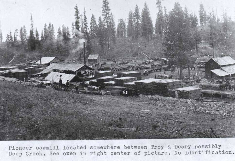 Located somewhere between Troy and Deary, possibly Deep Creek. See oxen in right center of picture. No identification.