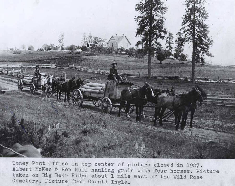 In top center of picture, closed in 1907. Albert McKee and Ben Hull hauling grain with four horses. Picture taken on Big Bear Ridge about one mile west of the Wild Rose Cemetery. Picture from Gerald Ingle.