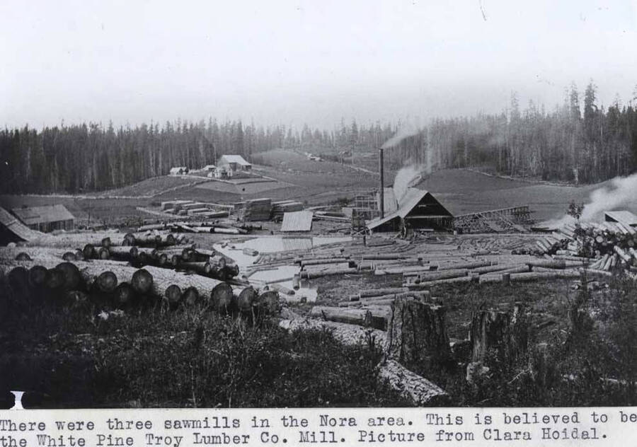 There were three sawmills in the Nora area. This is believed to be the White Pine Troy Lumber Company Mill. Picture from Clara Hoidal.