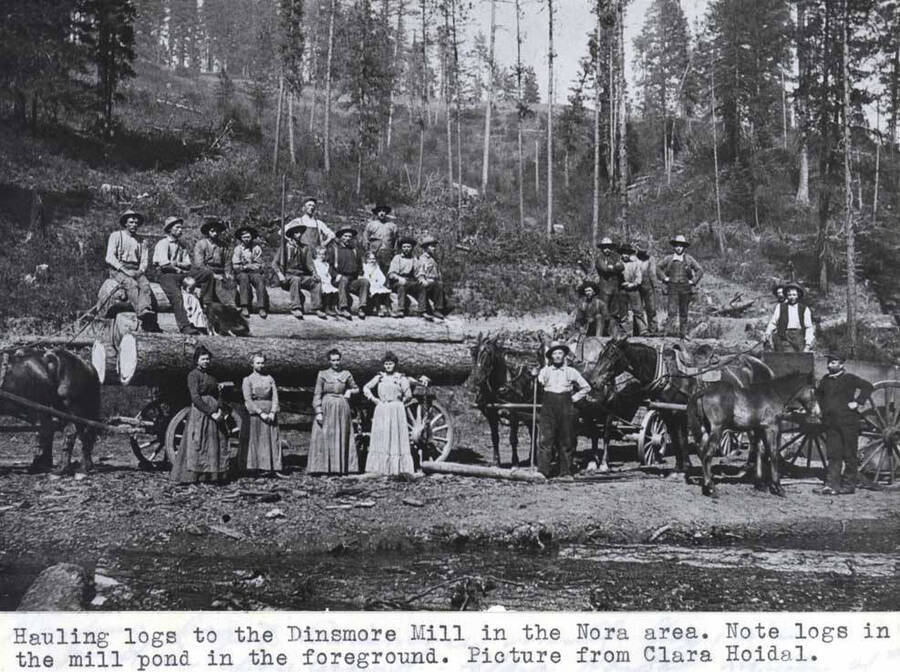 To the Dinsmore Mill in the Nora area. Note logs in the mill pond in the foreground. Picture from Clara Hoidal.