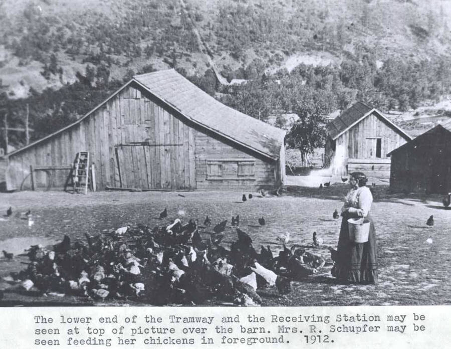May be seen at top of picture over the barn. Mrs. (Aloisia) Mathias Schupfer may be seen feeding her chickens in foreground. 1912.