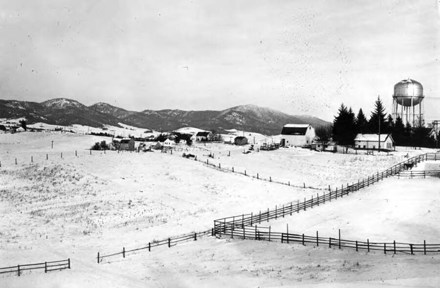 The east-west fence is now F Street west of Hayes Street. Some of the few homes at this time show on Orchard Avenue with the Moscow Mountains in the background. The foreground is mostly covered with new homes at this time, 1967. Picture taken in the 1940s.