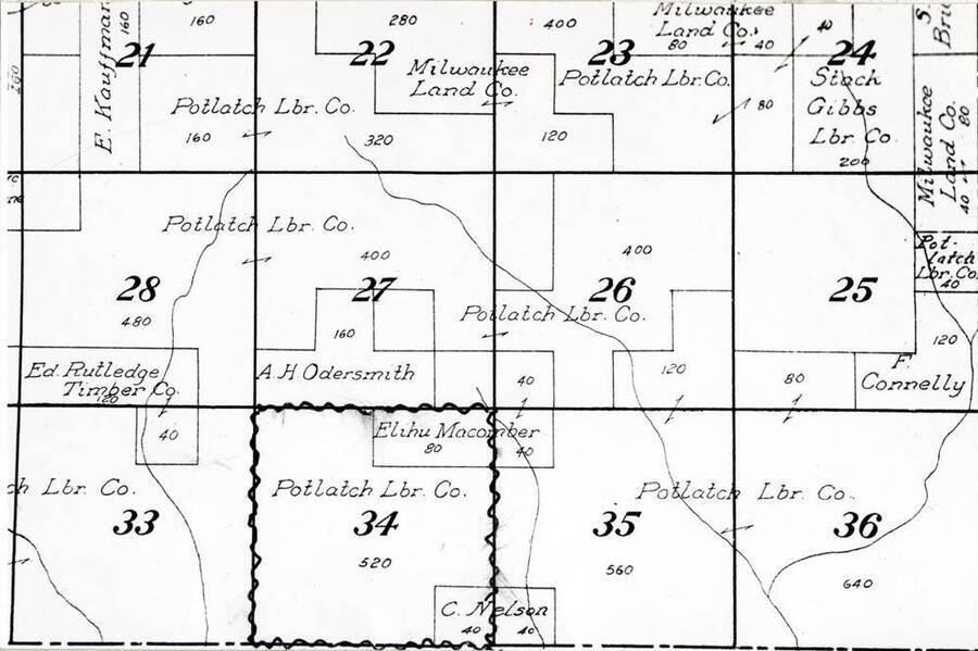 Copied from the Latah County map of 1914 [Latah County Atlas?] showing the owners of the sections of timber in the area where the large white pine trees grew.