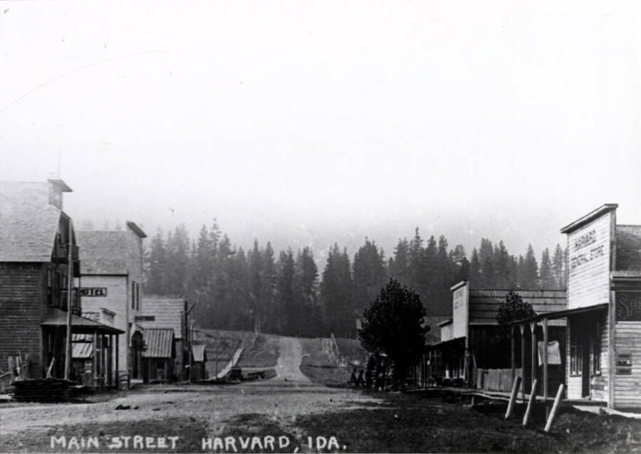 With Gold Hill in the background and a few homes north of the W.I&M. [Washington, Idaho & Montana Railway]. At this time the road came in from the north. About 1906.