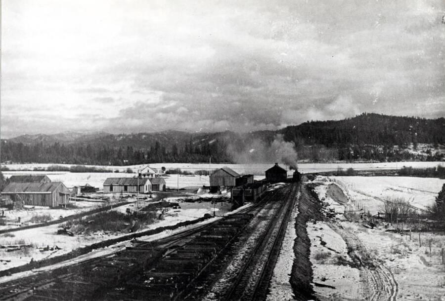 Showing the W.I.&M. [Washington, Idaho & Montana Railway] depot, a grain warehouse, and a few other buildings. About 1906.