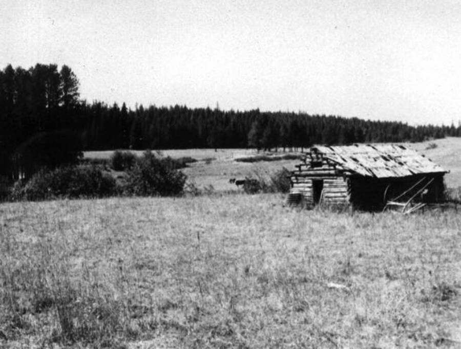 Cabin used as post office called Woodfell, Idaho. It was built by John Jacob Johnson, father of Mrs. Edna Butterfield, Princeton, Idaho. [See image for additional information].