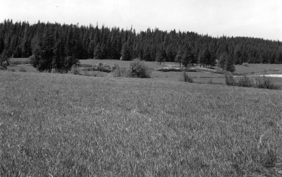 Picture taken from about the same location as the top picture [90-5-077]. The log cabin was destroyed about 1968. The Johnson family cemetery may be seen on the knoll across the flat.