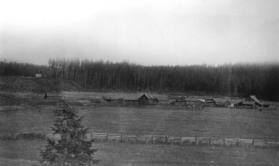 Looking northwest from about the location of the Woodfell Post Office. See location of the cemetery in cluster of trees beyond front of log cabin P.O. [post office] Picture #75 [90-5-075].