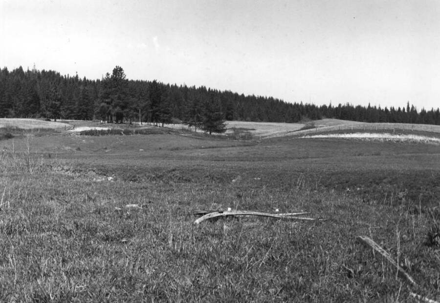 Looking at the location of the Woodfell Post Office with the J.J. Johnson cemetery in the background. See the shafts in the foreground where the P.O. [post office] stood. Picture May 9, 1976 by Clifford M. Ott.