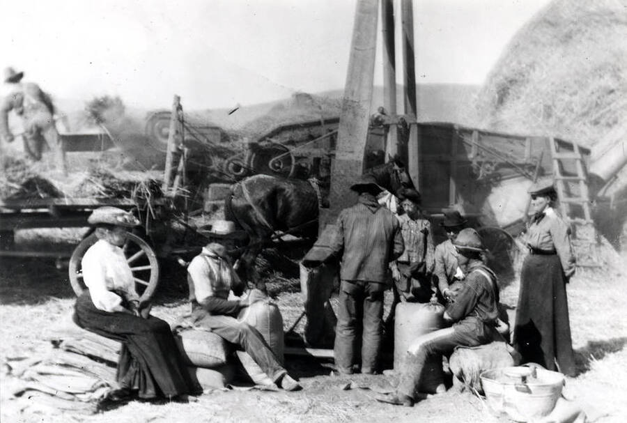 Threshing scene on the Lewis C. Love farm southeast of Garfield showing two sack sewers with sack jig between. Picture by Cecil Love from a 4 x 5' glass negative. Taken about 1913.